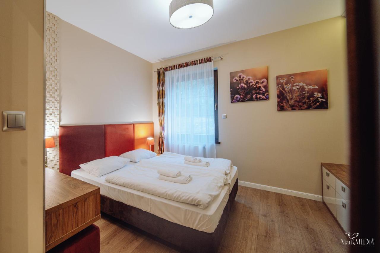Dolina Wikingow Apartament Oye 09 Szklarska Poreba Ngoại thất bức ảnh
